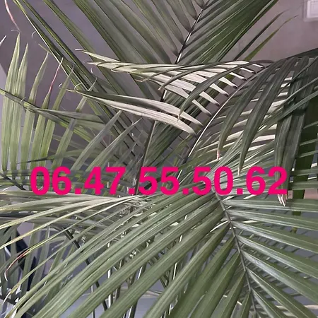 Au Calme à 100m De La Villa *