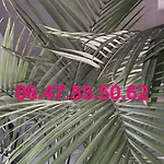 Au Calme A 100m De La Βίλα *